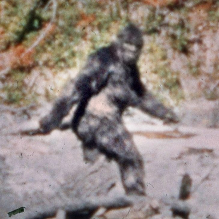 Bigfoot Walking